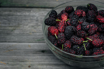 Mulberry isolated on a wooden background. Ripe mulberry fruit. Healthy food from mulberry fruit has...