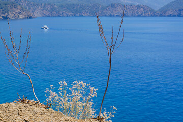 Yachting concept seascape, blue sea, mountains, sky, small island and sailing boat