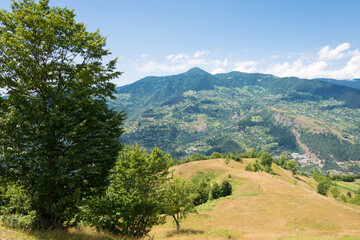 Fototapety na wymiar - Fototapeta24.pl