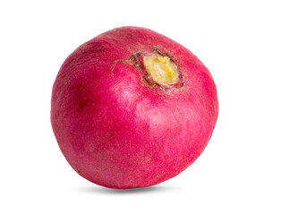 Small garden radish an isolated on white background.Clipping Path