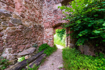 Burgruine Prandegg im Mühlviertel Oberösterreich