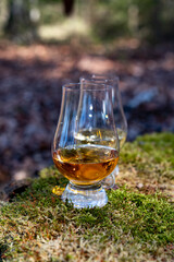 Tasting of scotch single malt whisky from Islay island, most intensely flavoured of all whiskies in Scotland
