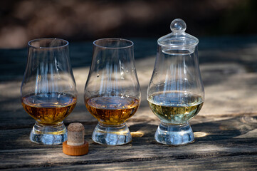 Tasting of scotch single malt whisky from Islay island, most intensely flavoured of all whiskies in Scotland