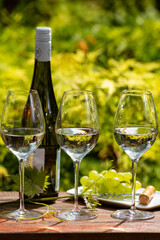 Quality wine tasting on winery in Mosel wine redion in Germany, three glasses and one bottle of riesling white wine served outdoor in sunny day