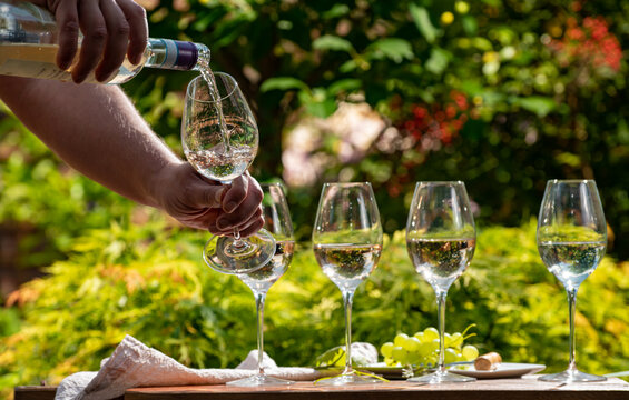 Pouring of Pinot gridgio rose wine for tasting on winery in Veneto, Italy. Glasses of cold dry wine served outdoor in sunny day