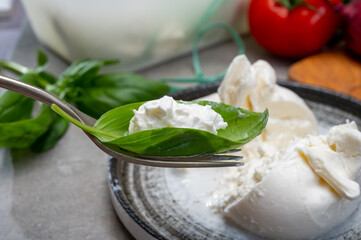 Eating of fresh handmade soft Italian cheese from Puglia, white balls of burrata or burratina cheese made from mozzarella and cream filling