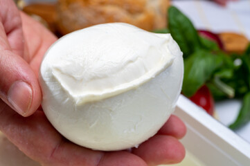 Cheese maker holding in hand fresh handmade soft Italian cheese from Campania, white balls of buffalo mozzarella cheese made from cow milk in container with water