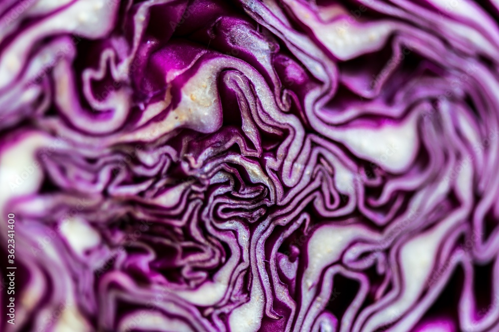 Poster close up shot of a sliced half of a red cabbage placed on the table