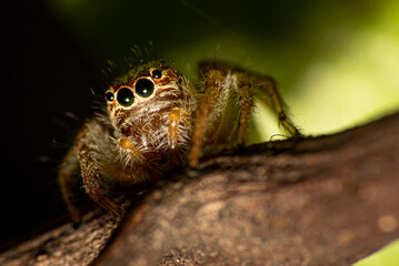 Macro, a beautiful world of textures and colors