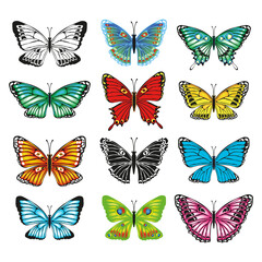 Fototapeta na wymiar Set of colorful butterflies on white background