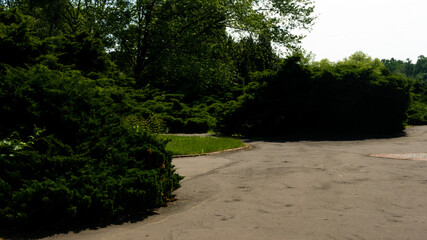 Beautiful views in the Silesian park in Chorzów. Ready for entry.