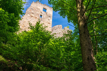 Fototapeta premium Burgruine Prandegg im Mühlviertel Oberösterreich