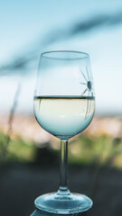 glass of white wine