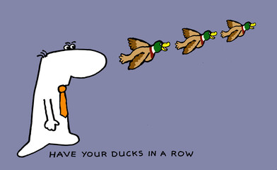 Have your ducks in a row - jargon, idiom