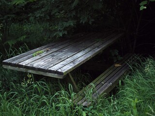 Closeup shot of an old abandoned picnic table in a park-horror, storytelling concept