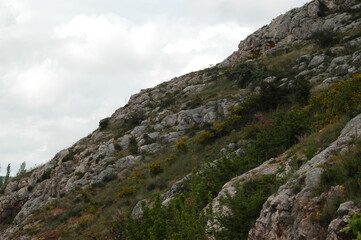 Fototapeta premium rocks in the mountains
