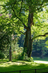 Eingangserker der Zentralen Studienberatung in Münster, Nordrhein-Westfalen