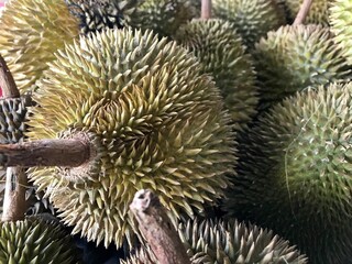 Naklejka na ściany i meble close up of durian on the market