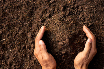 Fertile loam is suitable for planting trees.