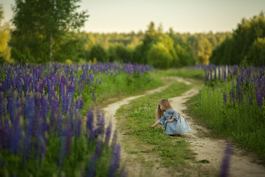 A girl with long blond hair is running and jumping on a path around which huge fields of lupins have grown up on the side of the road. Image with selective focus.