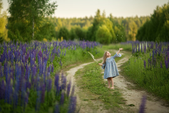 A girl with long blond hair is running and jumping on a path around which huge fields of lupins have grown up on the side of the road. Image with selective focus.