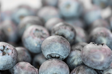 Close up of freshly picked blueberries. Narrow depth of field