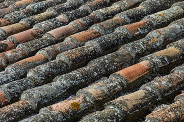 Traditional old weathered terracotta roof tiles in Lucca, Italy