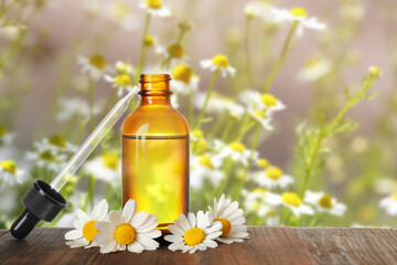 Obraz na płótnie Canvas Bottle of essential oil and chamomile flowers on wooden table against blurred background. Space for text