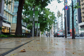 雨の日の街中