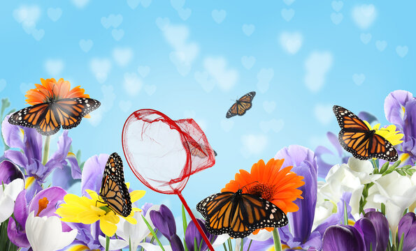 Bright net and fragile monarch butterflies in flower garden