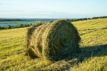 Haymaking on the banks of the river. Close-up of a bale of hay.
