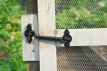 Old metal latch on garden gate with chicken coop wire, Closed garden gate with black iron latch. Protecting the garden from critters © Janice Higgins