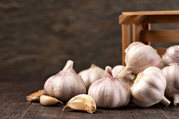 Garlic