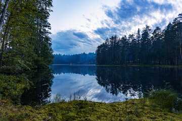 Fototapeta premium Lake in the forest