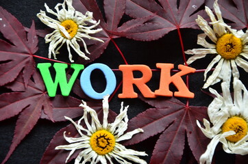 slowo work © czany