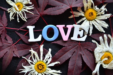 slowo love i biale kwiaty © czany