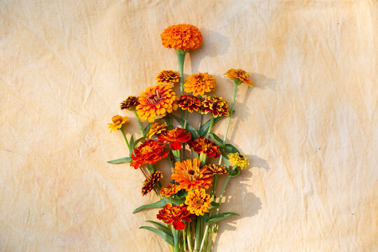 fall bouquet of zinnia and marigold 2 - Powered by Adobe