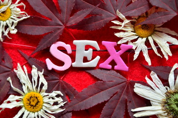 word sex © czany