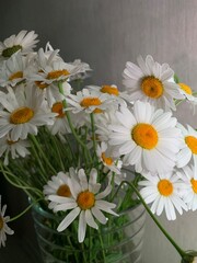 Obraz premium bouquet of daisies