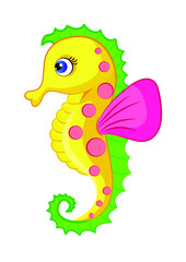 Seahorse/cute colorful vector illustration of hippo camuse/marine animal