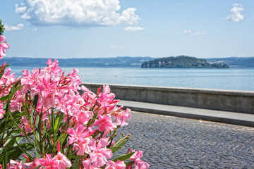View of the  Bolsena Lake - Viterbo Italy