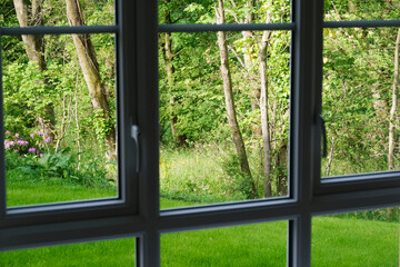 Summer view of green garden from inside house window