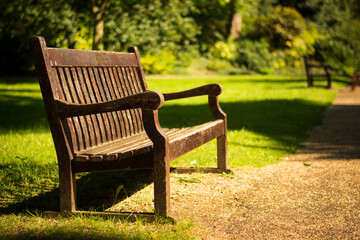 Beautiful old empty wooden bench in garden. Relax peaceful in the park