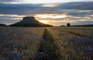 Lilienstein in der Sächsische Schweiz am späten Abend