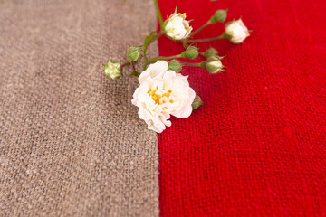 branch of white roses on red burlap background, texture of coarse natural fabric