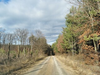 Fototapeta na wymiar road in the countryside on autumn