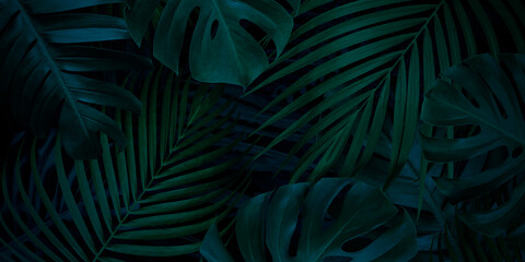 Tropical leaves background with copy space - Powered by Adobe