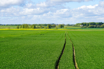 cultivated land with processing path in a cereal field