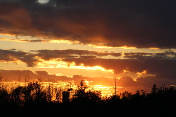 Rays Of The Sunset, Pylypow Wetlands, Edmonton, Alberta