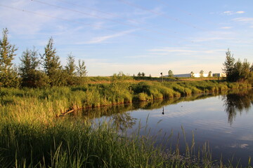 Fototapeta na wymiar Evening On The Water, Pylypow Wetlands, Edmonton, Alberta